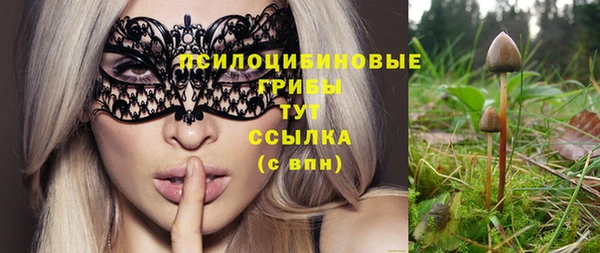 прущая мука Белокуриха