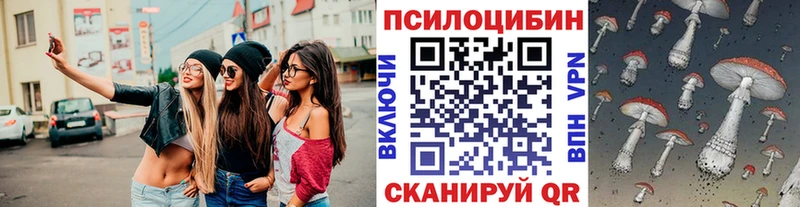 закладка  Полесск  Галлюциногенные грибы мухоморы 
